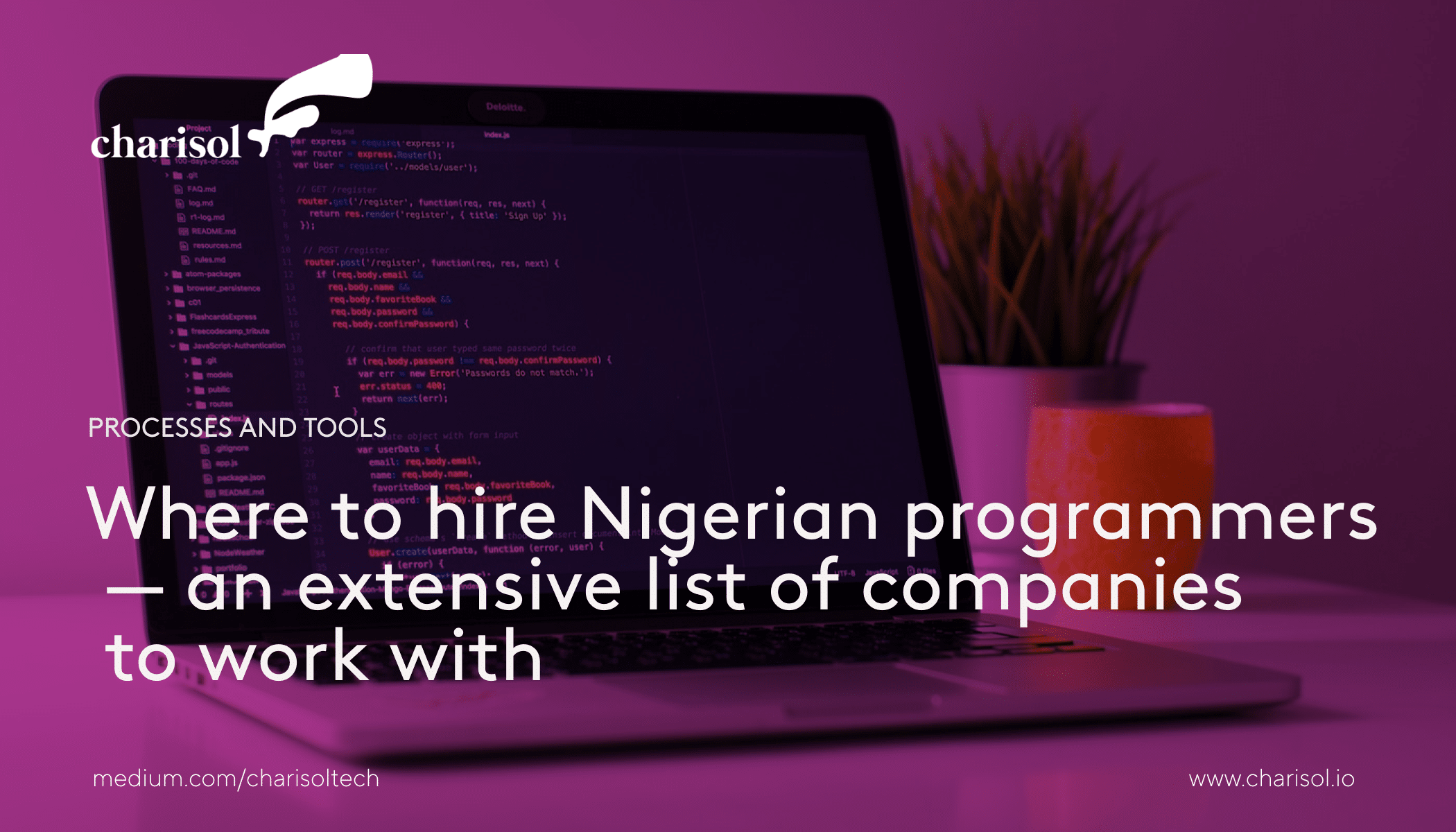 Finding Nigerian Programmers: A Comprehensive Company List