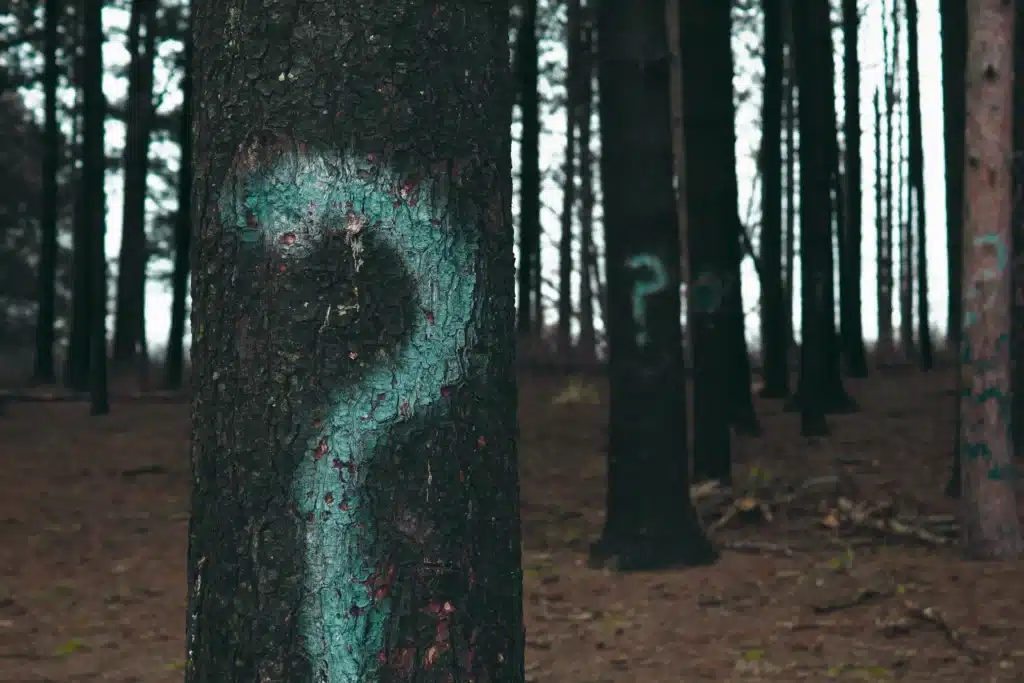 forest trees marked-with question marks