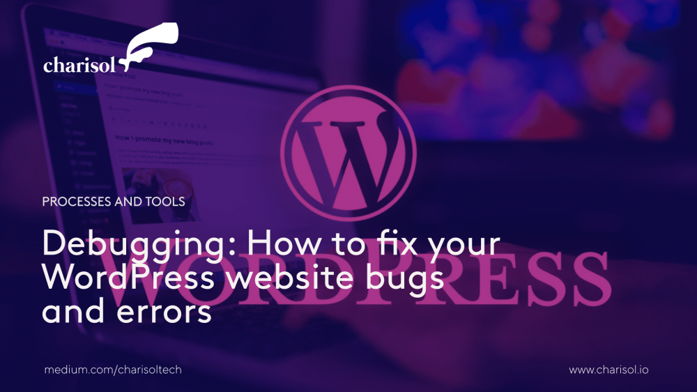 Fixing wordpress website bugs