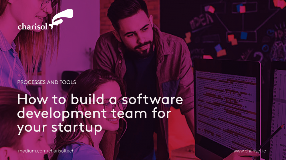 Building a software development team