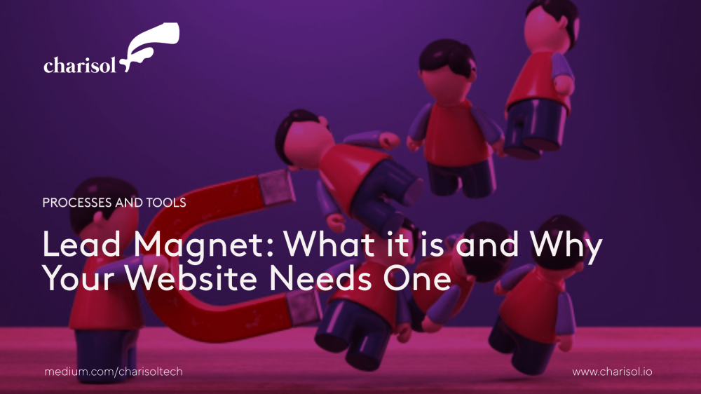 Lead Magnet: What it is and Why Your Website Needs One Website Lead Magnet
